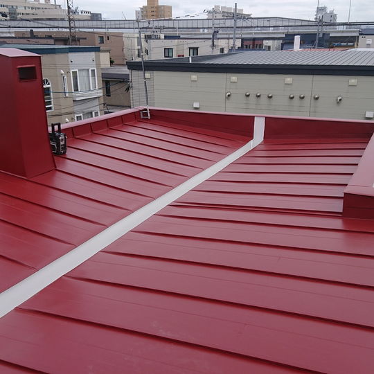 北35条Ｔ様邸　葺き替え工事